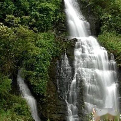 企业代表、网络达人走进成都青羊，感受现代都市工业的“航空基因”